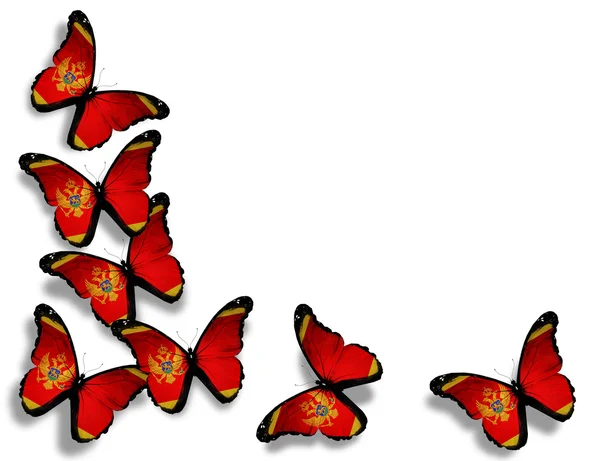 Montenegro vlag vlinders, geïsoleerd op witte achtergrond — Stockfoto