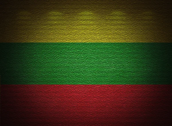 Lithuanian flag wall, abstract grunge background — Stock Photo, Image