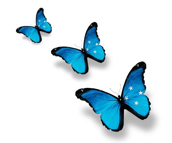 Tři motýly Vlajka Mikronésie, izolované na bílém — Stock fotografie