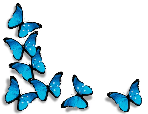 Mikronesien Flagge Schmetterlinge, isoliert auf weißem Hintergrund — Stockfoto