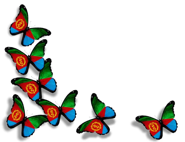 Farfalle bandiera eritrea, isolate su sfondo bianco — Foto Stock