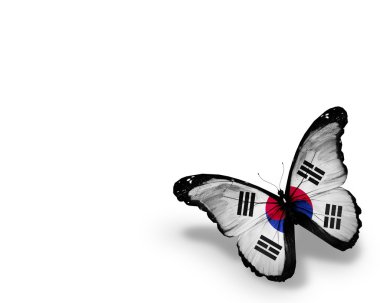Beyaz arka plan üzerinde izole Kore bayrağı kelebek