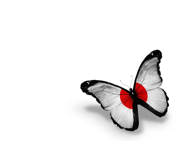 Японский флаг бабочка, изолированные на белом фоне — стоковое фото