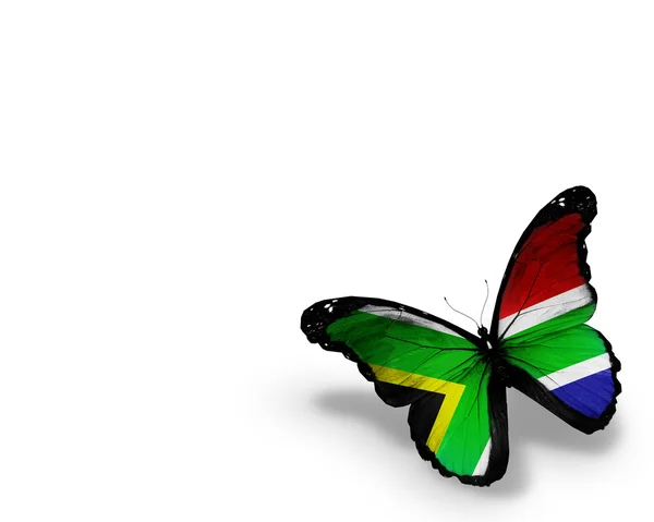Südafrikanische Flagge Schmetterling, isoliert auf weißem Hintergrund — Stockfoto