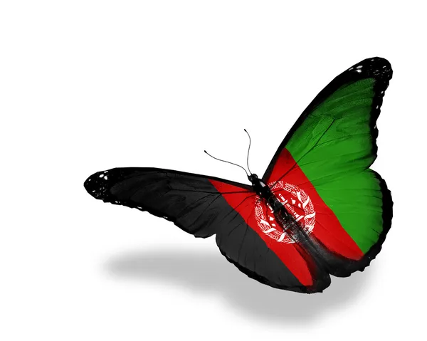 阿富汗国旗蝴蝶飞，孤立在白色背景 — 图库照片