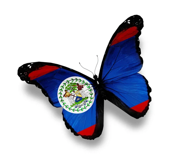 Bandeira da borboleta de Belize, isolada sobre branco — Fotografia de Stock