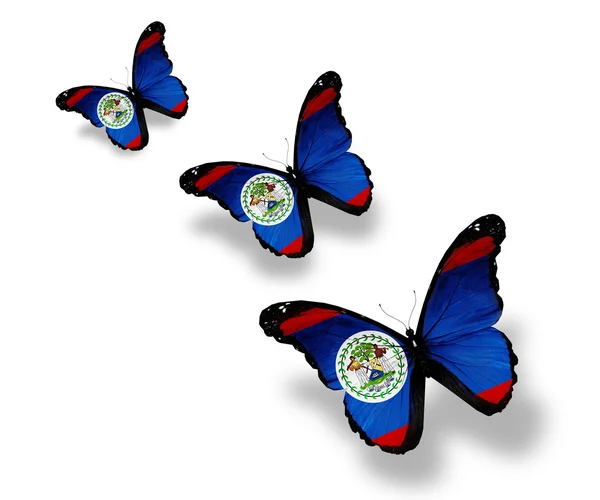 3 벨리즈 국기 나비, 흰색 절연 — 스톡 사진