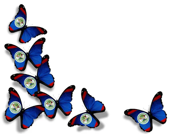 ベリーズ フラグ、蝶、白い背景で隔離 — ストック写真