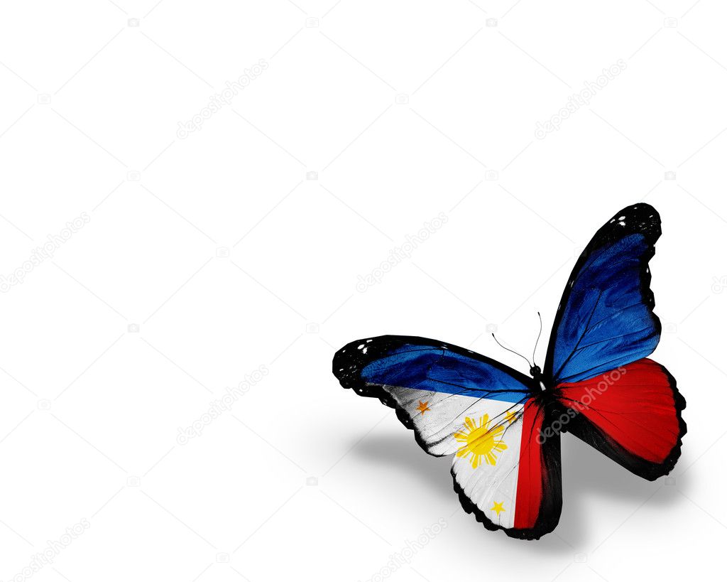 Philippine flag butterfly, isolated on white background