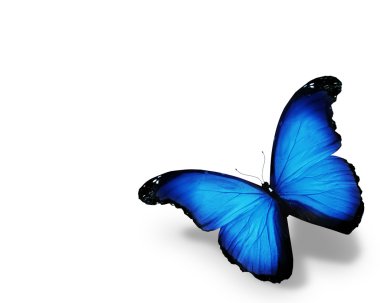 Beyaz arka plan üzerinde izole mavi kelebek