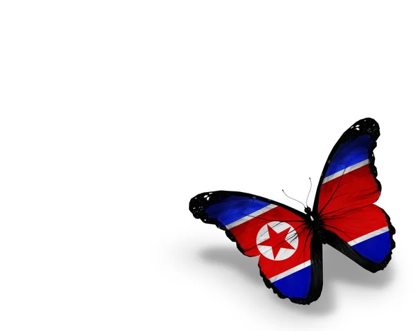 朝鲜国旗蝴蝶，在白色背景上孤立 — 图库照片