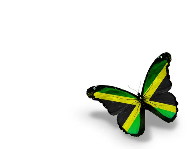 Jamaikanische Flagge Schmetterling, isoliert auf weißem Hintergrund — Stockfoto