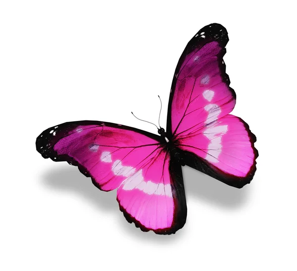 Farfalla rosa, isolata su bianco — Foto Stock