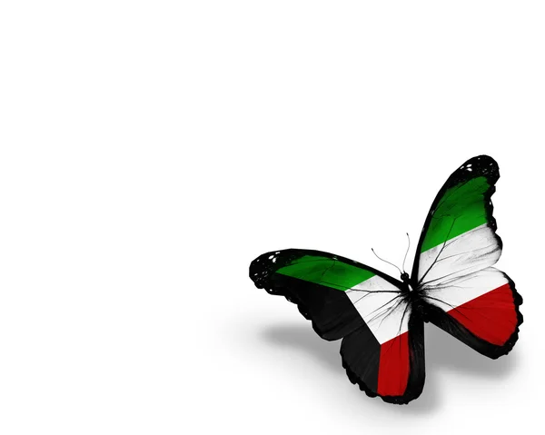 Бабочка с флагом Кувейта, изолированная на белом фоне — стоковое фото