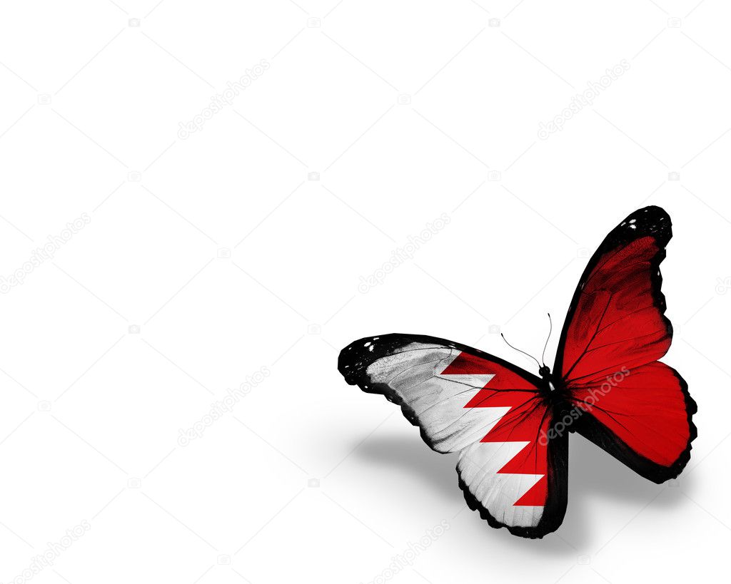 Bahraini flag butterfly, isolated on white background