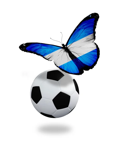 Conceito - borboleta com bandeira argentina voando perto da bola, li — Fotografia de Stock
