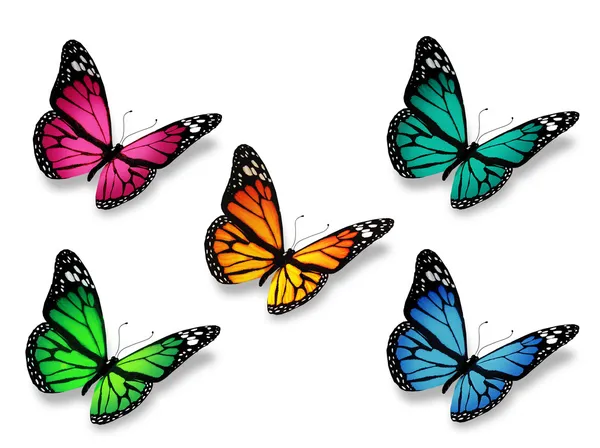 Grupo de borboletas, isoladas sobre fundo branco — Fotografia de Stock