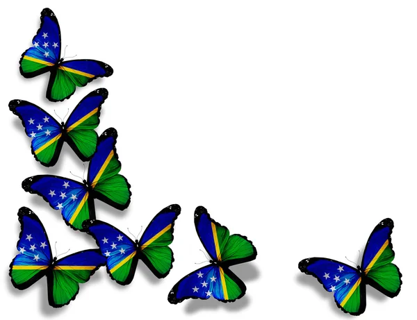 Mariposas bandera de las Islas Salomón, aisladas sobre fondo blanco —  Fotos de Stock