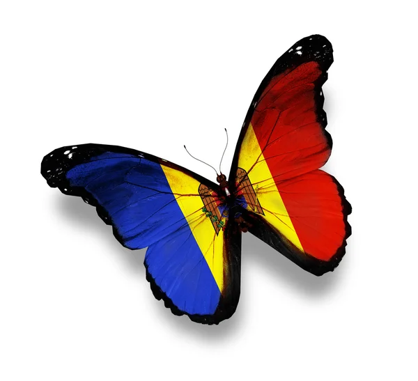 Farfalla bandiera moldava, isolata su bianco — Foto Stock