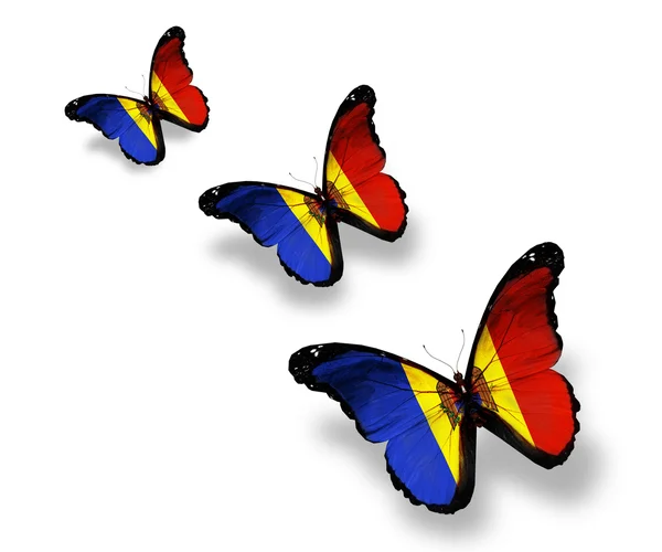 Tres mariposas de bandera moldava, aisladas en blanco —  Fotos de Stock
