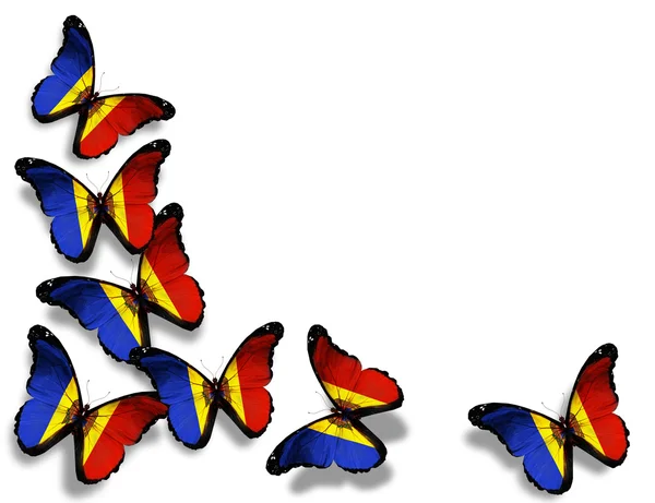 Moldvai zászló pillangók, elszigetelt fehér background — Stock Fotó