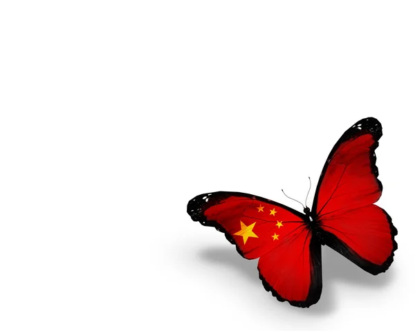 Chinese flag butterfly, isolated on white background — Stock Photo, Image