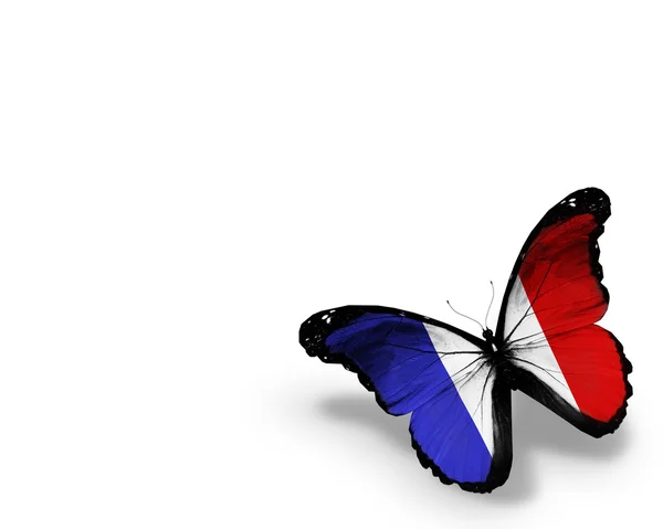 Papillon drapeau français, isolé sur fond blanc — Photo