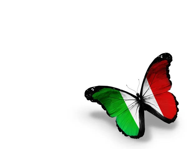 意大利国旗蝴蝶，在白色背景上孤立 — 图库照片