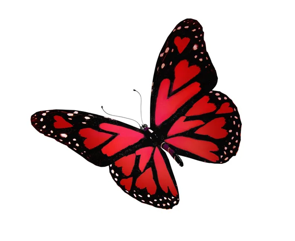 Red butterfly with hearts on wings, isolated on white — Stock Photo, Image