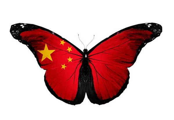 Chinese flag butterfly, isolated on white background — Stock Photo, Image
