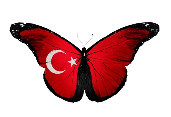 Flaga turecka motyl na białym tle — Zdjęcie stockowe