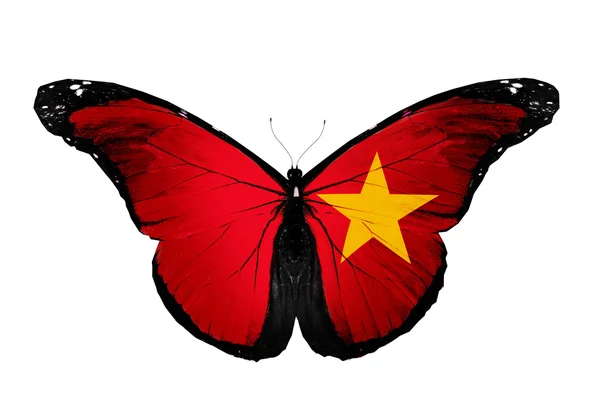 Вьетнамский флаг бабочка, изолированные на белом фоне — стоковое фото