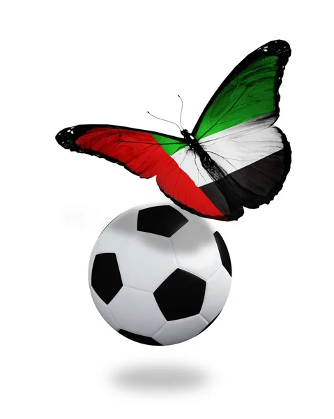 Conceito - borboleta com bandeira dos Emirados Árabes Unidos voando perto da bola, como foo — Fotografia de Stock