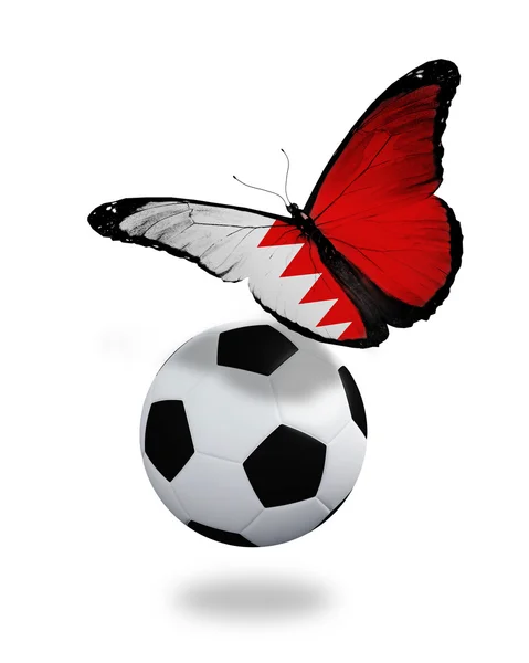 Concepto - mariposa con bandera bahreiní volando cerca de la pelota, lik —  Fotos de Stock