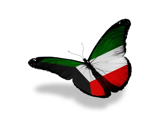 科威特国旗蝴蝶飞，孤立在白色背景 — 图库照片