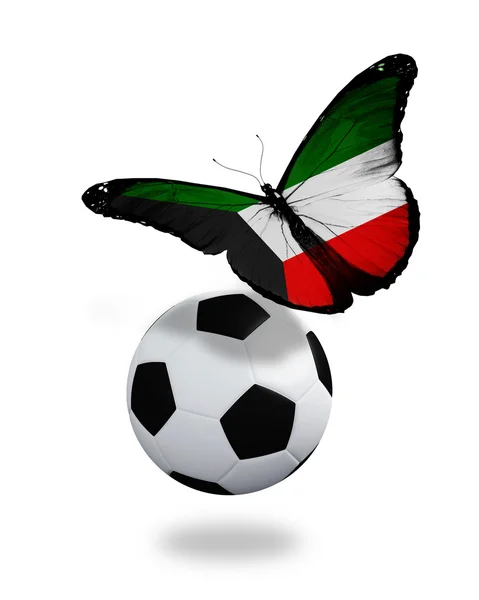 Концепция - бабочка с кувейтским флагом, летящим рядом с мячом, как — стоковое фото
