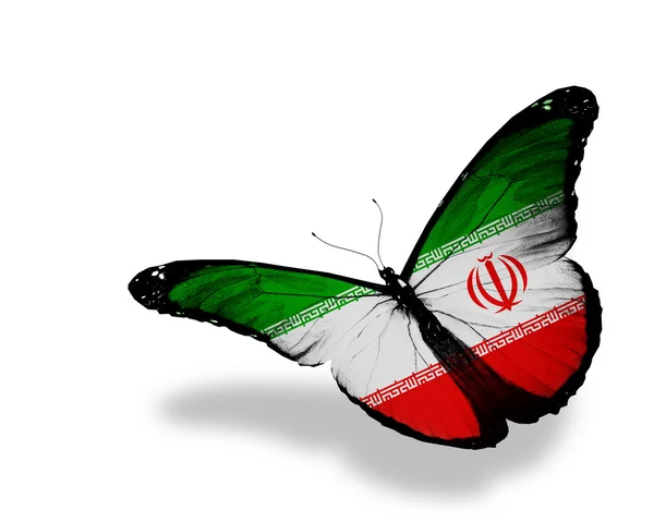 Bandeira iraniana borboleta voando, isolado em fundo branco — Fotografia de Stock