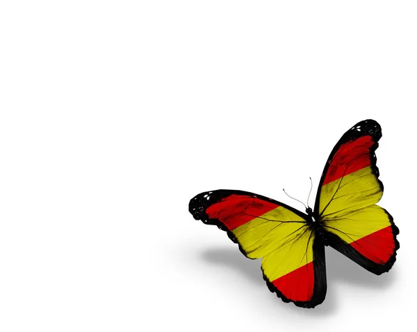 Іспанська прапор метелик, ізольовані на білому тлі — стокове фото