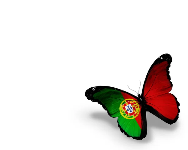 Farfalla bandiera portoghese, isolata su sfondo bianco — Foto Stock