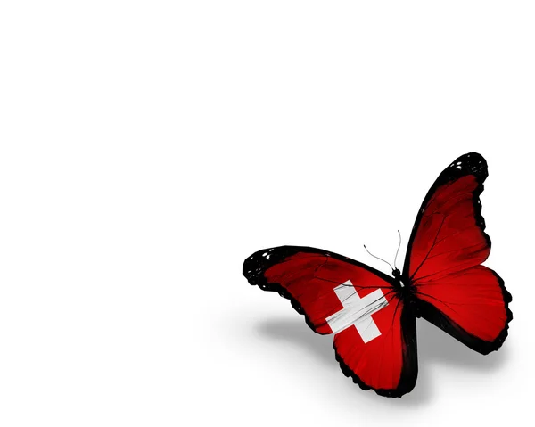 Schweiziska flaggan fjäril, isolerad på vit bakgrund — Stockfoto