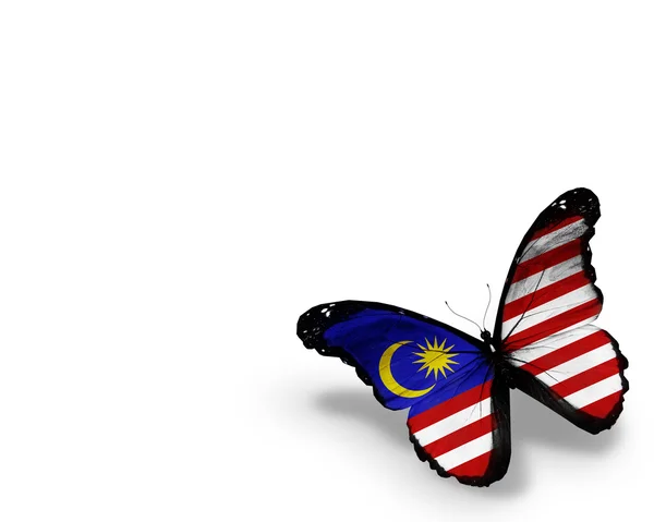 白い背景で隔離のマレーシアのフラグ蝶 — ストック写真