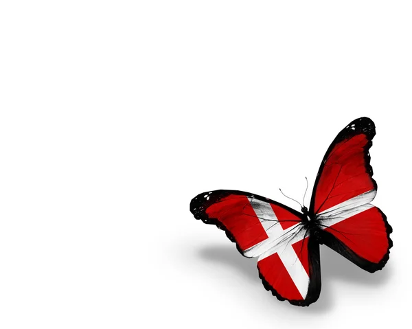 デンマークの旗の蝶、白い背景で隔離 — ストック写真