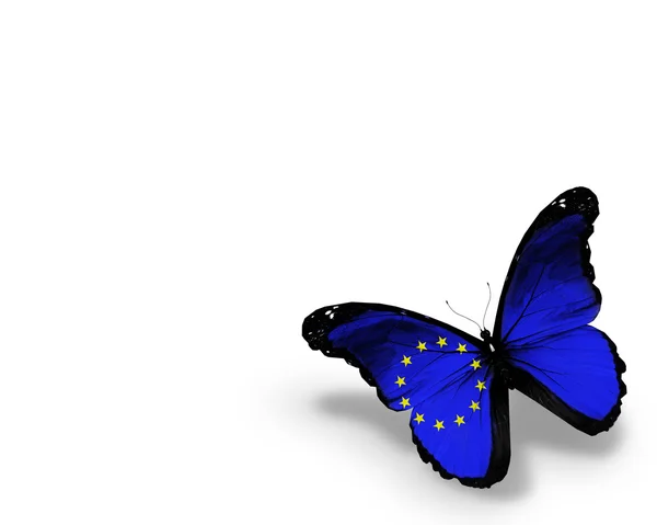 Borboleta bandeira da UE, isolada sobre fundo branco — Fotografia de Stock