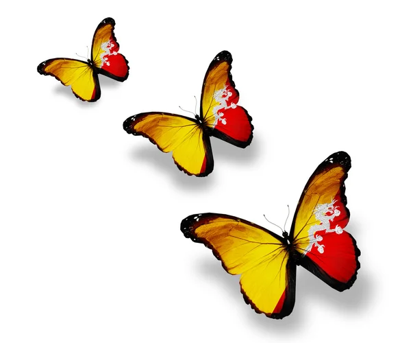 Three Bhutan flag butterflies, isolated on white — Stock Photo, Image