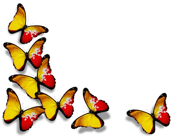 ブータンの旗蝶、白い背景で隔離 — ストック写真