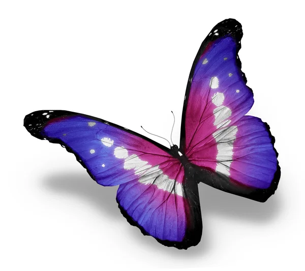Morpho violett fjäril, isolerad på vit bakgrund — Stockfoto