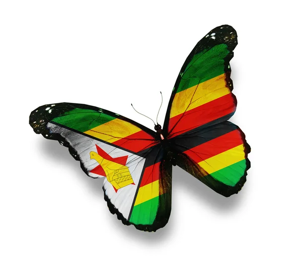 Zimbabwe flag butterfly, isolated on white — Stock Photo, Image