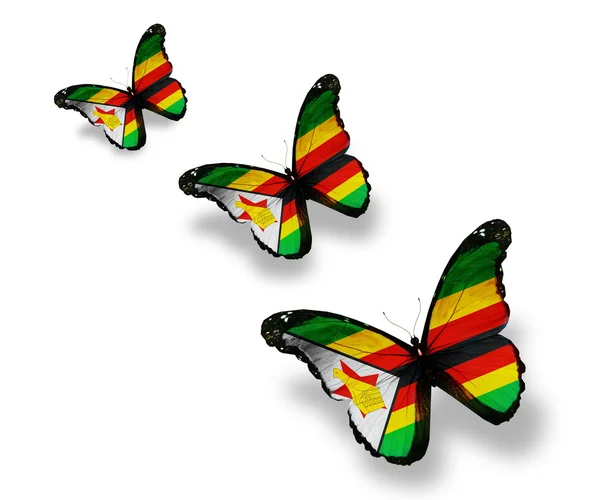 Trois papillons drapeau du Zimbabwe, isolés sur blanc — Photo