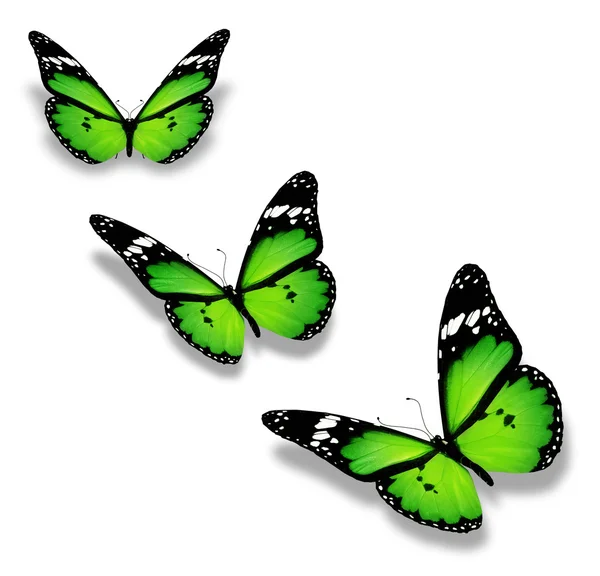 Three green butterflies, isolated on white — Stock Photo, Image