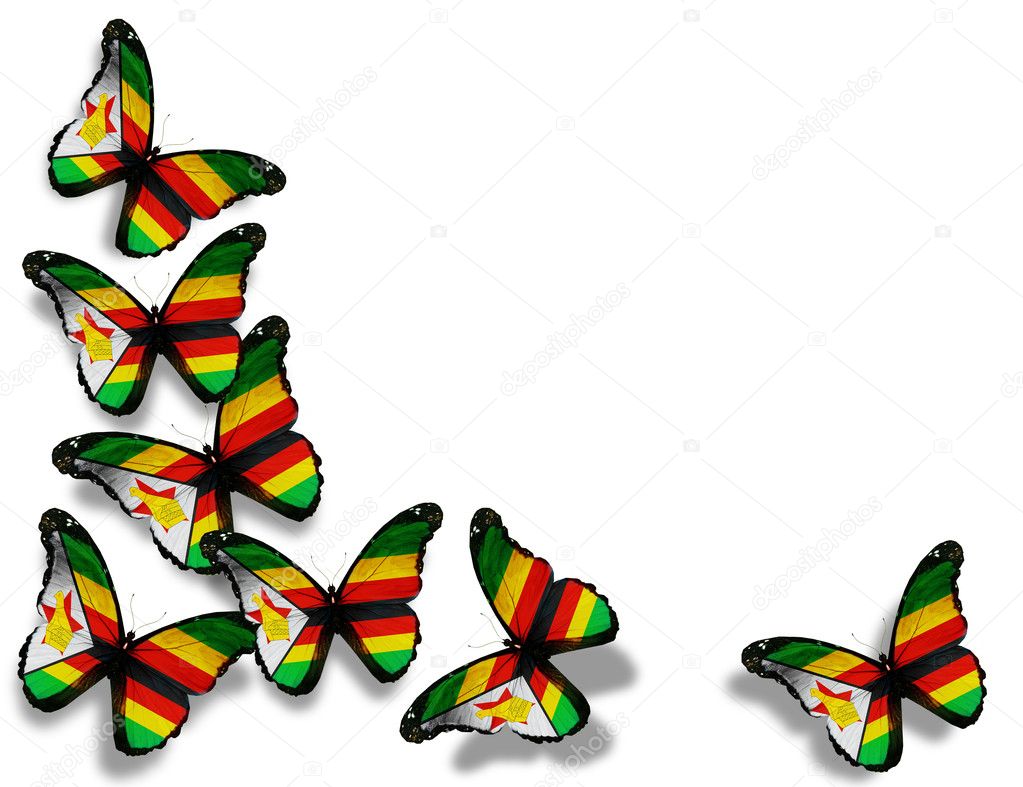 Zimbabwe flag butterflies, isolated on white background